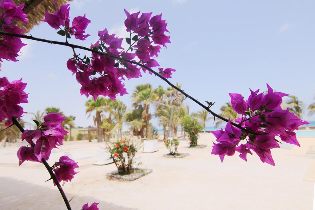 Vilas Praia Chaves Rabil Exteriér fotografie