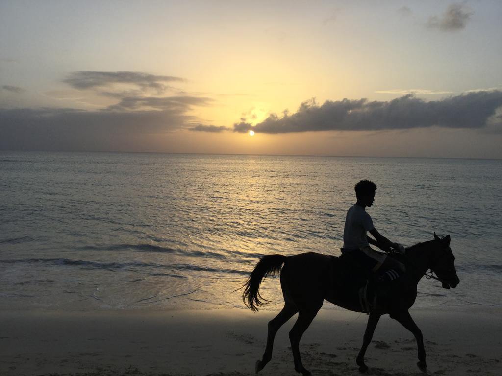 Vilas Praia Chaves Rabil Exteriér fotografie